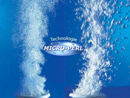 Micro Perl 