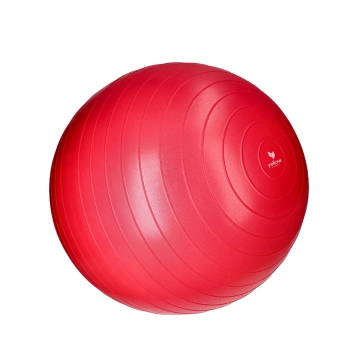 Piłka do ćwiczeń z pompką śr. 55 cm
